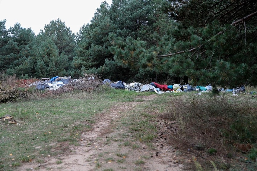 Tak wyglądają śmieci leżące w lesie nieopodal Barszczewa.