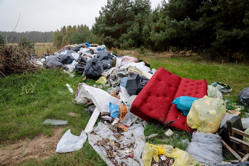 Tak wyglądają śmieci leżące w lesie nieopodal Barszczewa.
