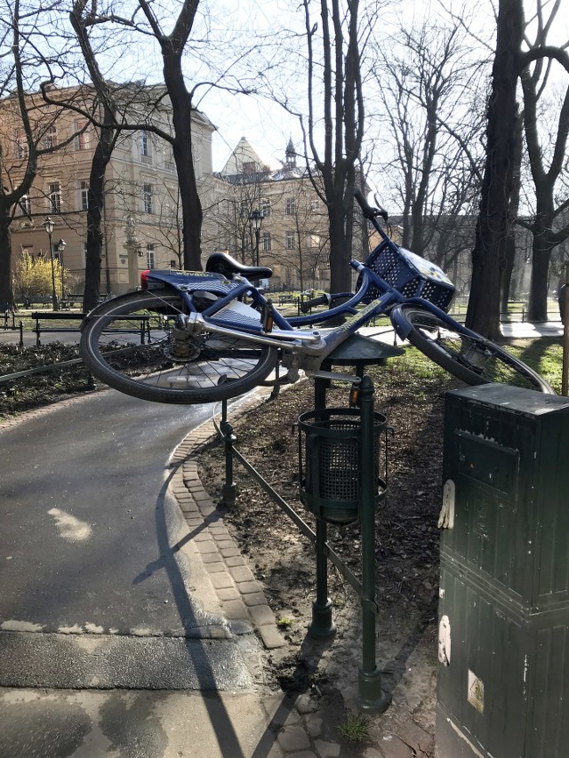 Wavelo pozostawione na śmietniku