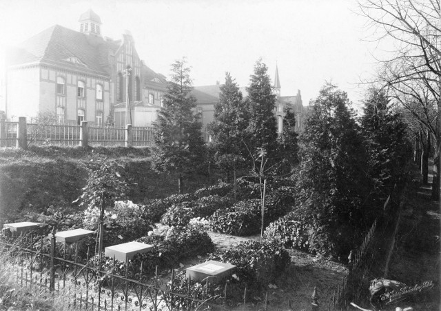 Park Tysiąclecia w Zielonej Górze powstał na terenie dawnego cmentarza. W tle widać zabudowę dzisiejszego Szpitala Uniwersyteckiego.