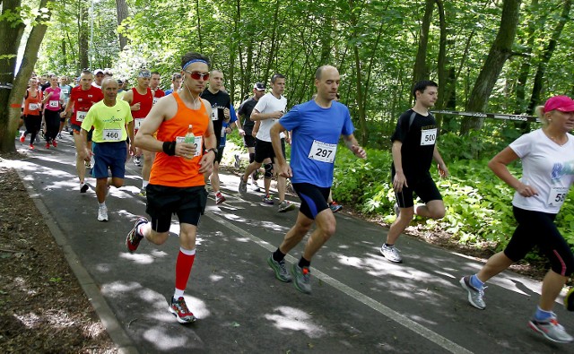 Szczecinianie będą się ścigać na 5-kilometrowej trasie przebiegającej przez Park Arkoński.