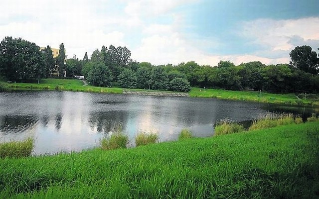 Projekt przewiduje inwestycję w parku nad Sokołówką.