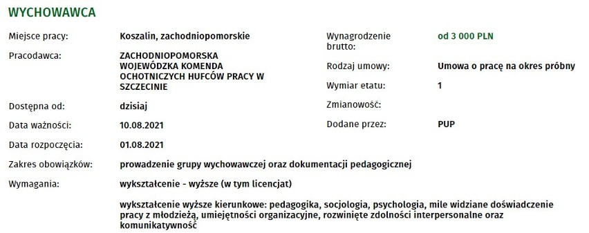 40 nowych ofert pracy w Koszalinie. Sprawdź, kogo poszukują pracodawcy