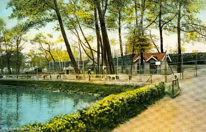 Nieistniejący ogród zoologiczny w Bytomiu.