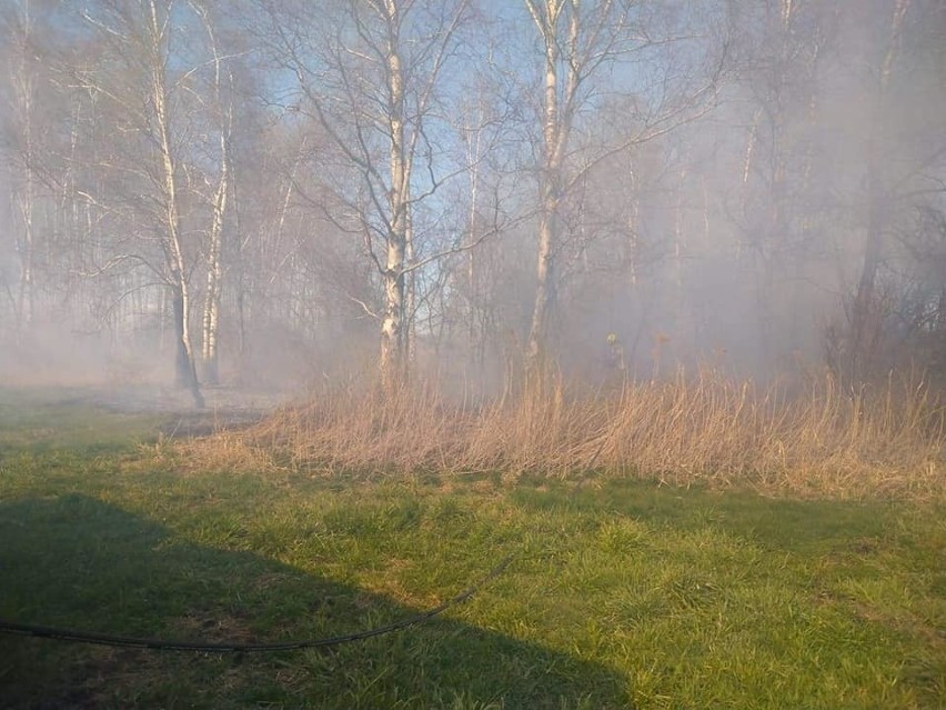 Pożary traw w gminach Troszyn, Czerwin i Goworowo w powiecie ostrołęckim. 22.04.2020. Zdjęcia