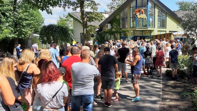 Do wejścia do opolskiego zoo potrafią tworzyć się spore kolejki. Stąd inicjatywa budowy nowego, dodatkowego wejścia.