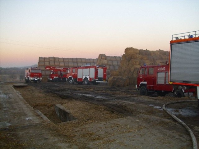 W akcji gaszenia stogu słomy brało udział 21 jednostek straży pożarnej.