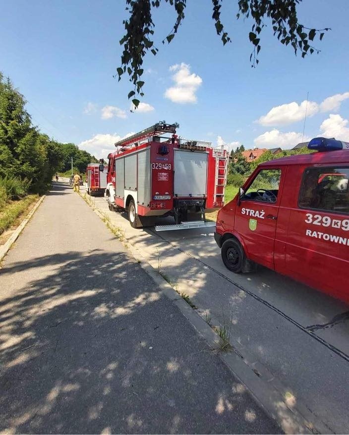 Strażacy interweniowali podczas pożaru pojazdu w Bosutowie