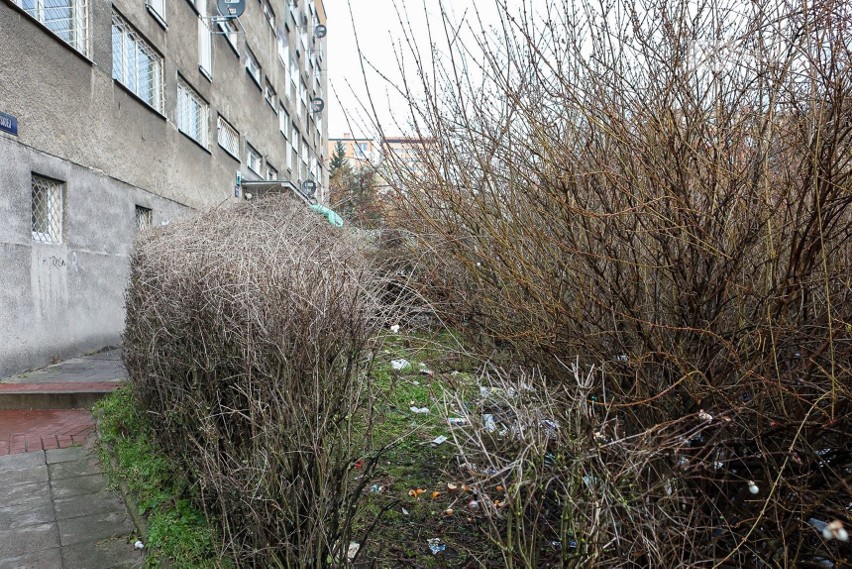 Drzewo śmieci, agresywne zachowania. Trudna sytuacja w budynku przy ul. Komuny Paryskiej w Szczecinie - 29.01.2021
