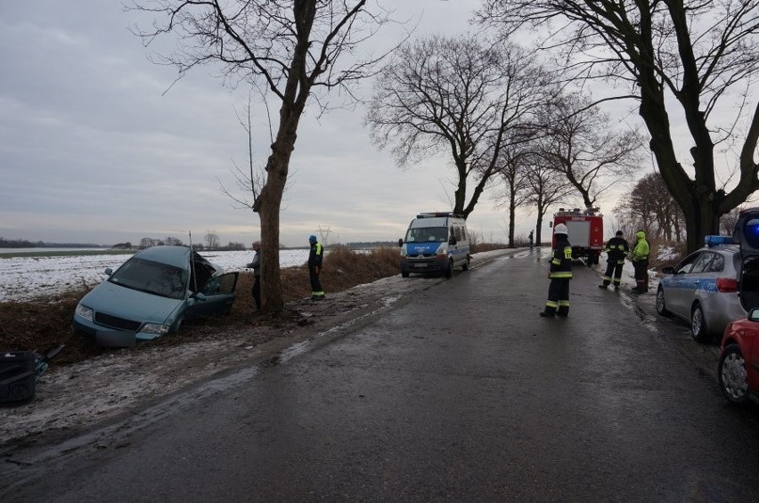 Wypadek Wieszowa: 5 osób rannych. Samochód uderzył w drzewo, jechały nim dzieci [ZDJĘCIA]