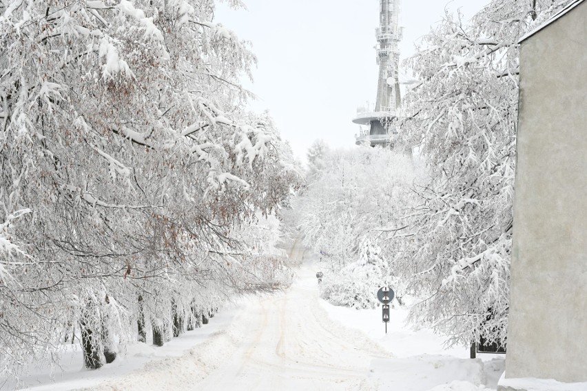 Ależ magia! Zobaczcie wyjątkowe zdjęcia Świętego Krzyża w zimowej szacie w obiektywie fotoreportera "Echa Dnia", Dawida Łukasika
