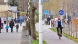 Park Zielona i Pogoria w Dąbrowie Górniczej jesienią przyciągają mieszkańców na rowery i spacer