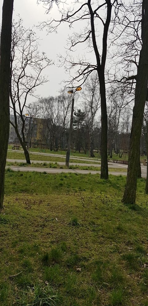 - Godz. 12, a w całym parku przy ul. Wyszyńskiego palą się...