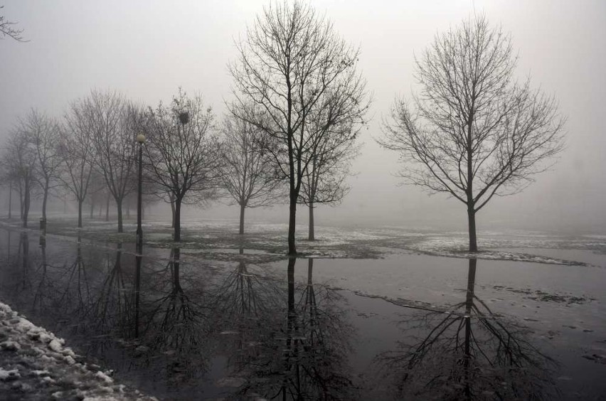 Mgła w Poznaniu. Magiczny park Kasprowicza