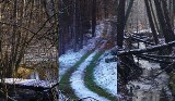 Zimowy spacer w Dolinie Studnicy. Widoki, wijąca się rzeka, trochę historii (ZDJĘCIA) 