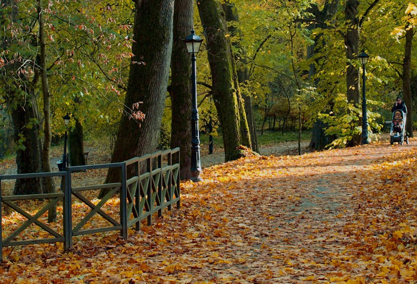Jesień w Parku w Koszalinie