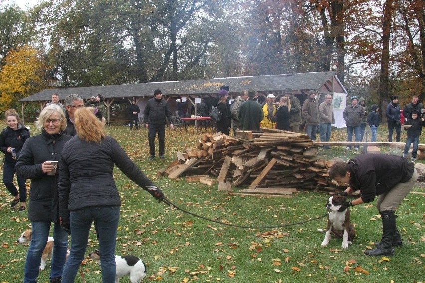 Gonili za lisem i piknikowali w Oblęgorku