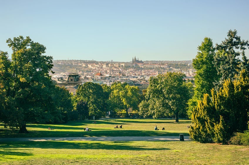 Park Riegrovy Sady