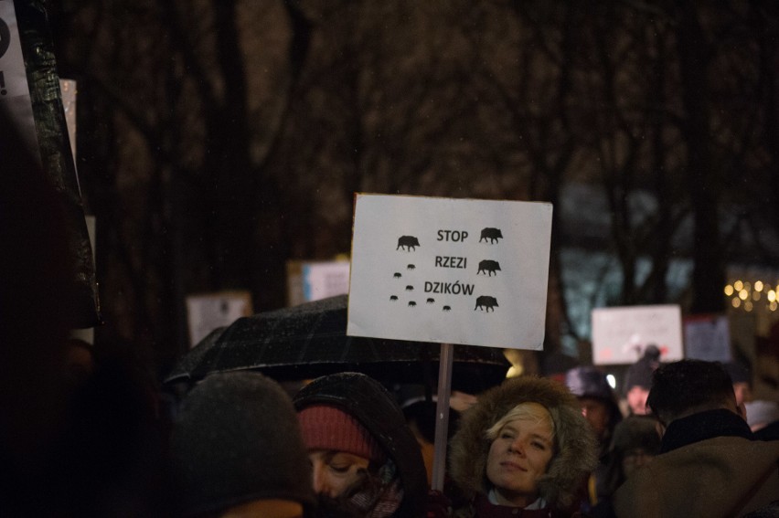Protest przeciw odstrzałowi dzików pod Sejmem (9/01/2019)