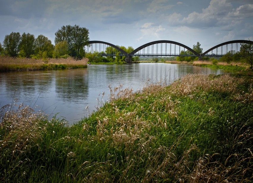 Stary most na Pilicy koło Białobrzegów