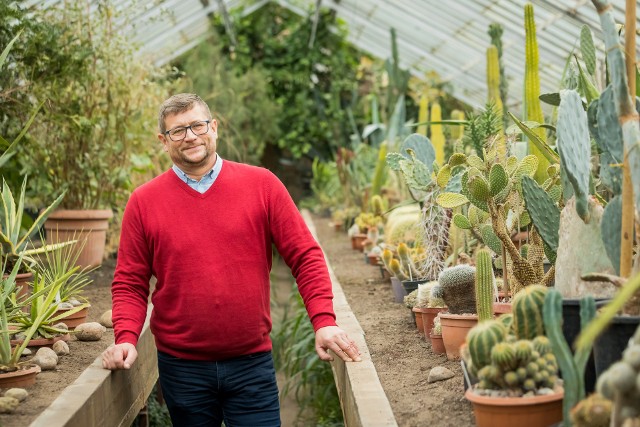 Popularnego bydgoskiego ogrodnika Jarosława Mikietyńskiego można teraz spotkać w Ogrodzie Botanicznym Instytutu Hodowli i Aklimatyzacji Roślin PIB w Bydgoszczy. Na zdjęciu w szklarni z kaktusami