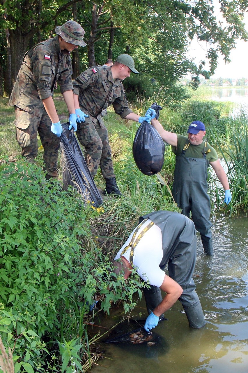 Terytorialsi i strażacy łowią martwe małże w Zalewie Zemborzyckim