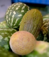 Postaw na melon! Sprawdź dlaczego w naszej diecie powinny się znaleźć melony i arbuzy
