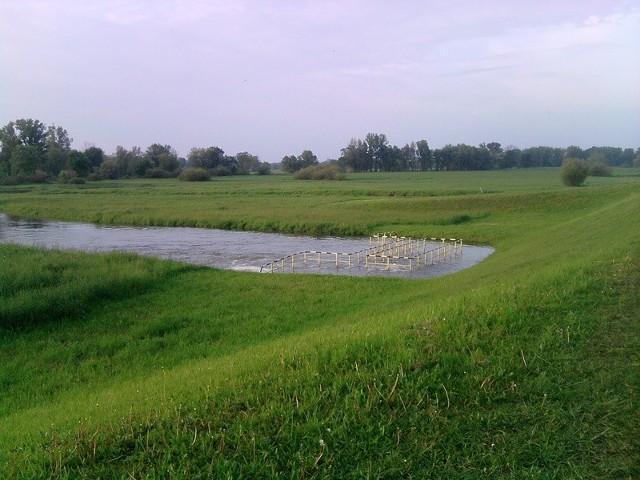 Zdjęcie z okolic Kosarzyna. Mała rzeka wpływająca do Odry. Gdyby nie zapora wodna, zalało by całość.