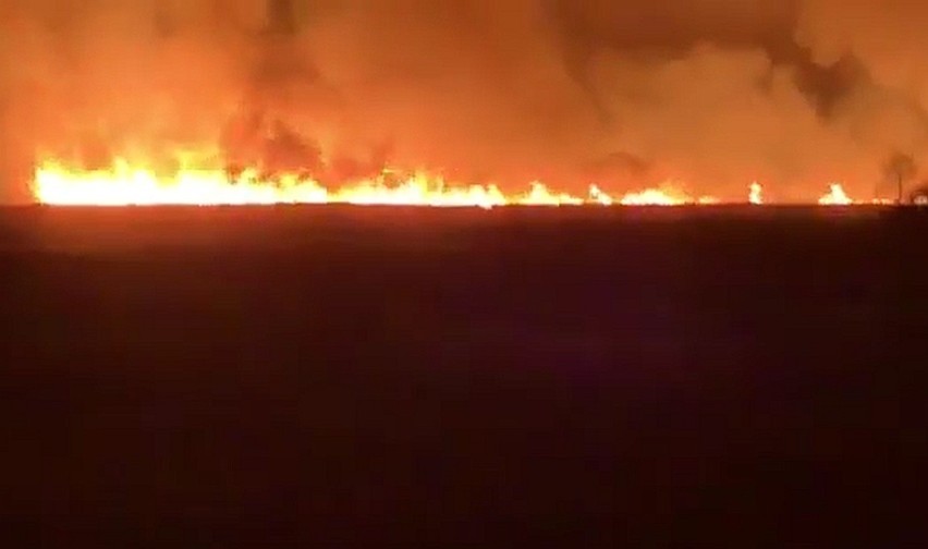 Narwiański Park Narodowy pali się
