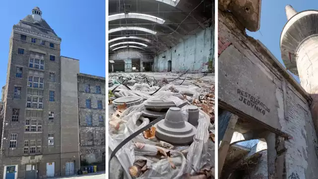 Fabryka w Bolesławcu produkowała tekstylia, w Wałbrzychu wypalano porcelanę, a w Pieńsku szkło. Dziś żaden z zakładów już nie istnieje, choć zatrudniał setki pracowników. Jak wyglądają dawne budynki prawdziwych przemysłowych gigantów? Zobacz >>>