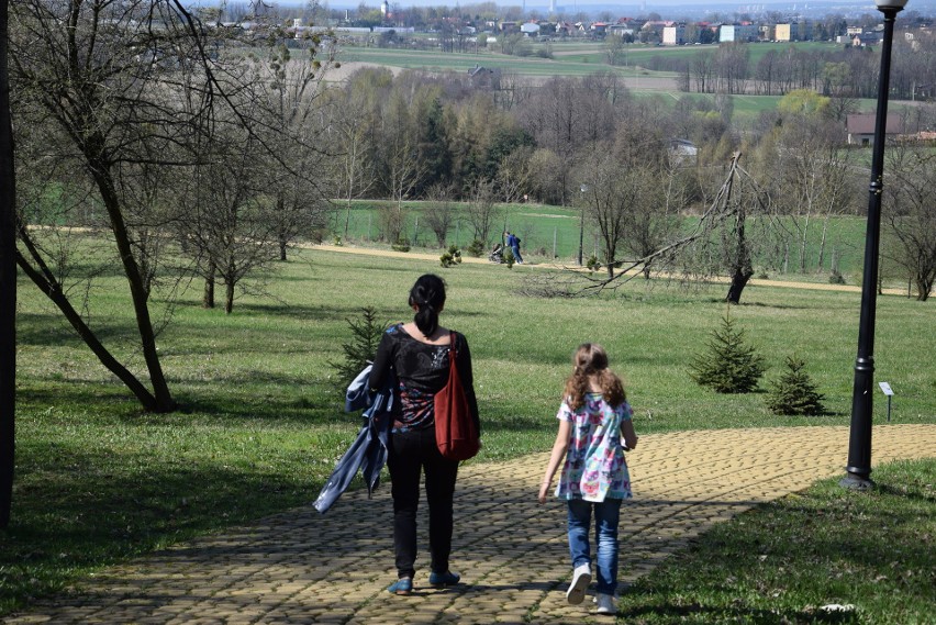 Śląski Ogród Botaniczny. Międzynarodowy Dzień Ptaków