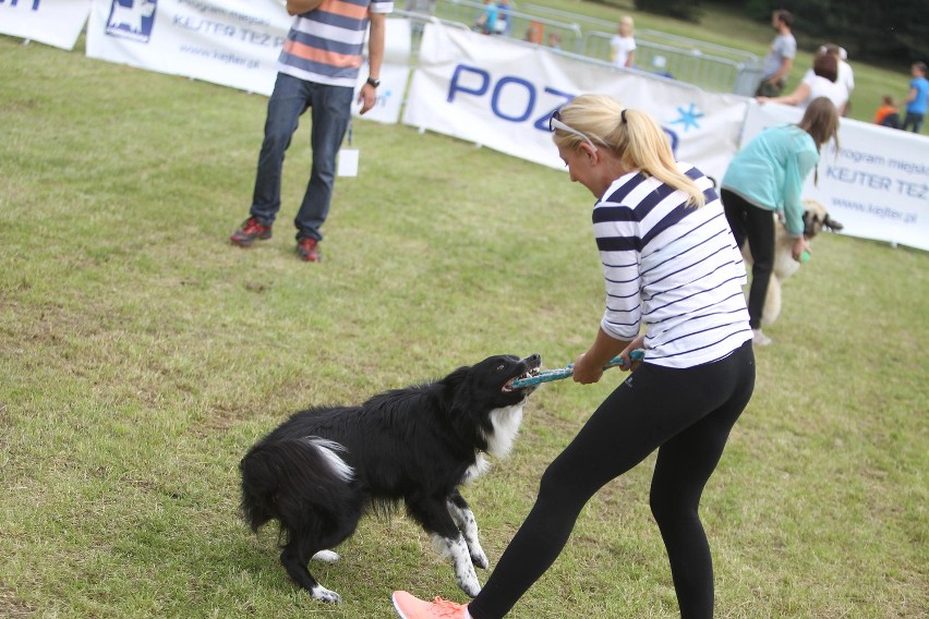 Kejtrówka 2015: Psy znów latały na Cytadeli [ZDJĘCIA]