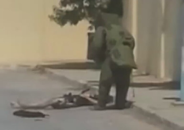 Tunezyjski saper przeszukuje zwłoki zamachowca z Susy (drastyczne zdjęcia)