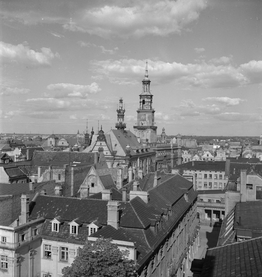 Ernst Stewner fotografował Poznań, polskie miasta,...