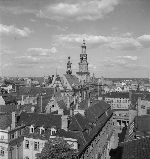 Ernst Stewner fotografował Poznań, polskie miasta, Wielkopolskę oraz mieszkańców miast i wsi