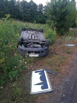Wypadek pod Radziejowem. Auto ścięło znak drogowy i dachowało [zdjęcia]