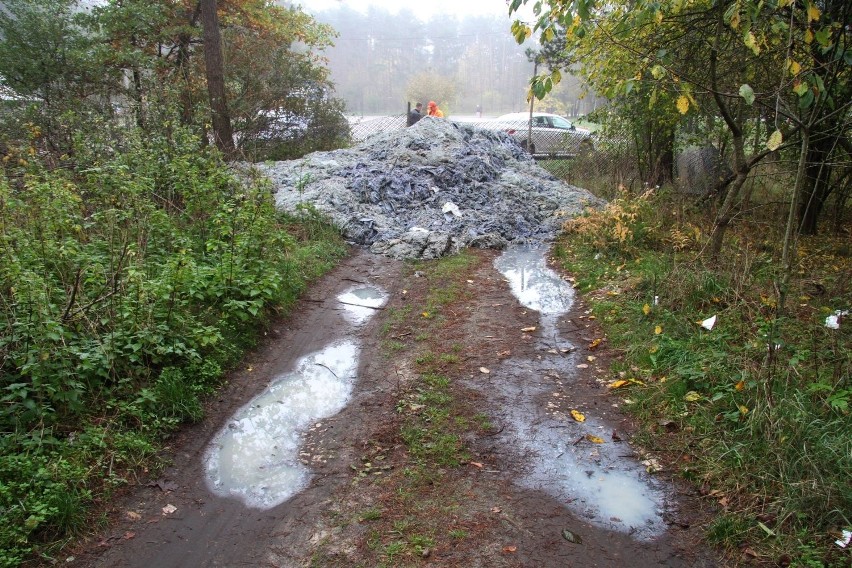 Śmietnisko w Lisowie. Ktoś znów wyrzucił tam odpady garbarskie (WIDEO, zdjęcia)