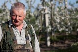 Sady państwa Papierników. Na sukces pracują w gronie rodzinnym