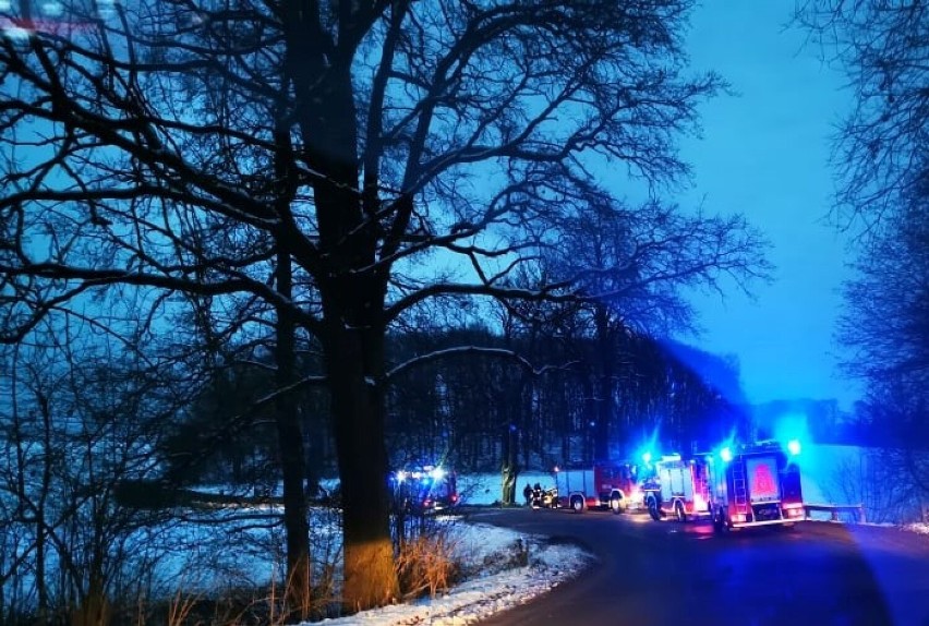 Wypadek między Kwilczem a Kurnatowicami. Auto uderzyło w drzewo. Dwie osoby poszkodowane [ZDJĘCIA]