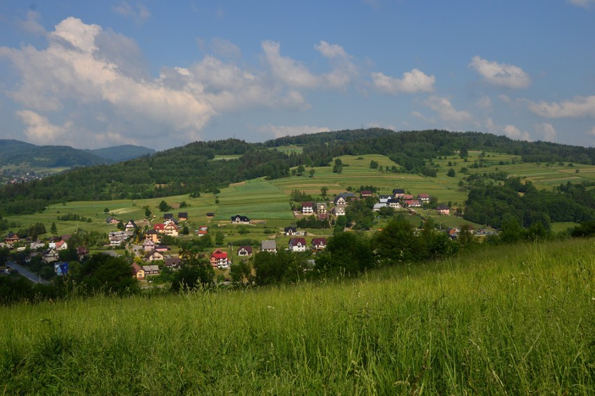 Takie widoki można oglądać w drodze na Urbania Górę