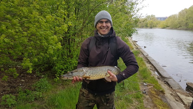 88 cm szczupaka złowionego 3 maja na miejskim odcinku Brdy przez Mateusza Kamińskiego, podczas zawodów spinningowych