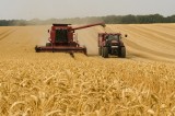 Kiedy decyzja w sprawie drugiej transzy unijnych rekompensat dla rolników? Odwołano kluczowe spotkanie