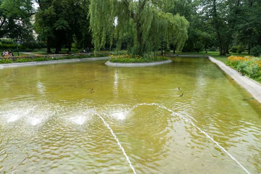 Fontanna w Parku Krakowskim, ku uciesze kaczek ruszy...