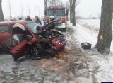 Wypadek na trasie Woźnice-Olszewo. Nissan uderzył w drzewo. Dwie osoby w szpitalu (zdjęcia)