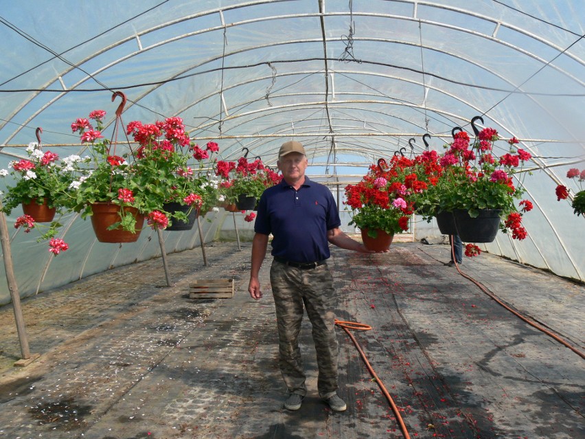 Kwiaty pomagał wybierać także Wojciech Chmiel, właściciel...