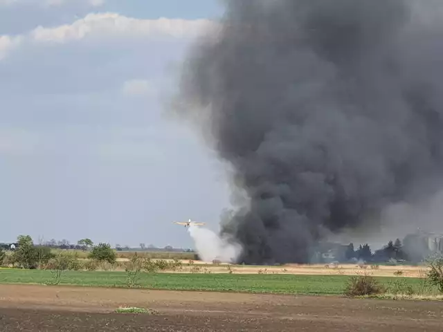 Wtorkowy pożar w pow. inowrocławskim.  Samolot gaśniczy toruńskiej dyrekcji Lasów Państwowych zrzucił ok. 6 tys. litrów  wody