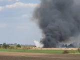 Deszcz przygasi wypalane trawy, ale kary i tak mają być zaostrzone