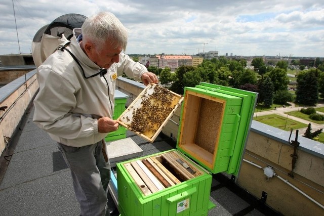 Mirosław Majcherek: Żeby być pszczelarzem, człowiek musi czuć pasję i powołanie