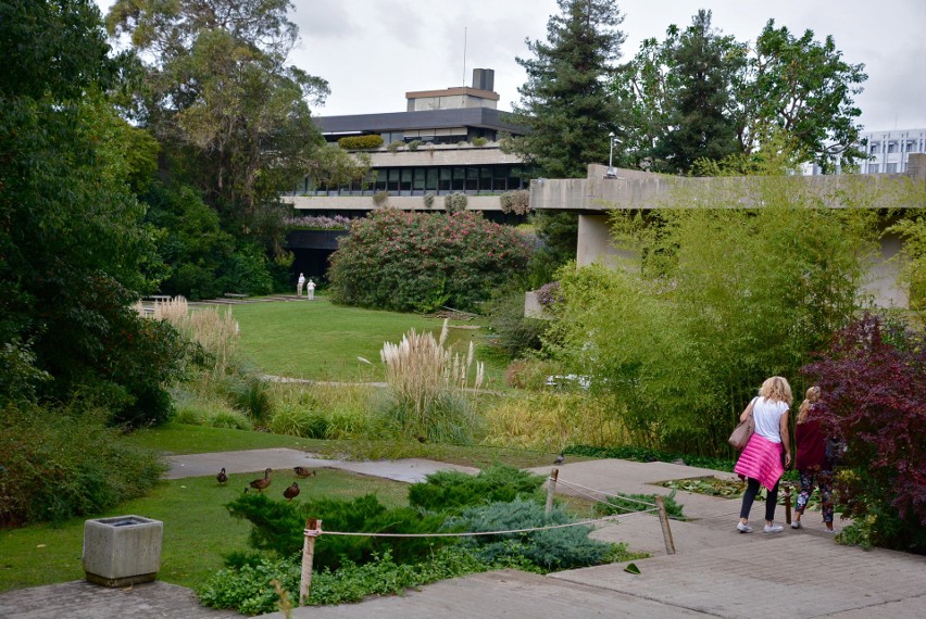 Ogród fundacji Gulbenkian to zielona oaza w Lizbonie, w sam...