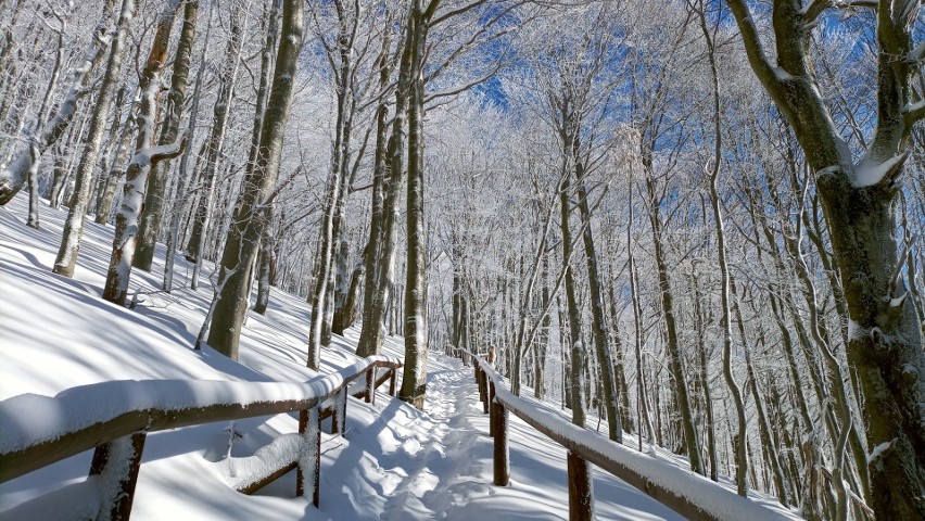 Nocne chodzenie po górach zostawmy zwierzętom - apeluje Bieszczadzki Park Narodowy. Nie wszystkie szlaki są przetarte